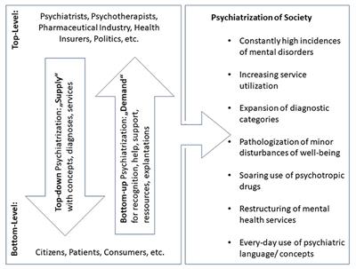 Psychiatrization of Society: A Conceptual Framework and Call for Transdisciplinary Research